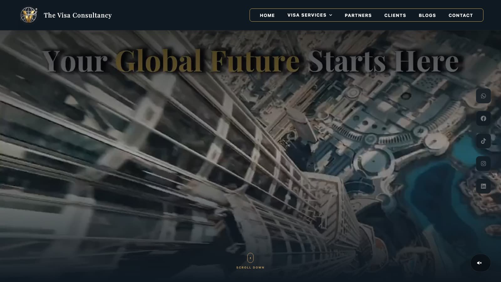 The Visa Consultancy home page